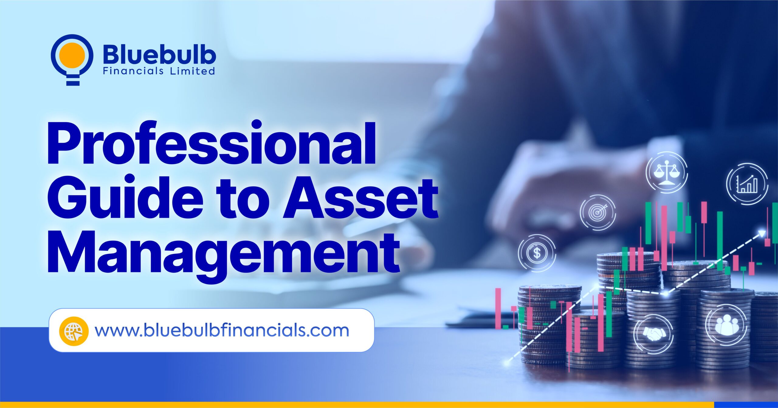 Professional Guide to Asset Management