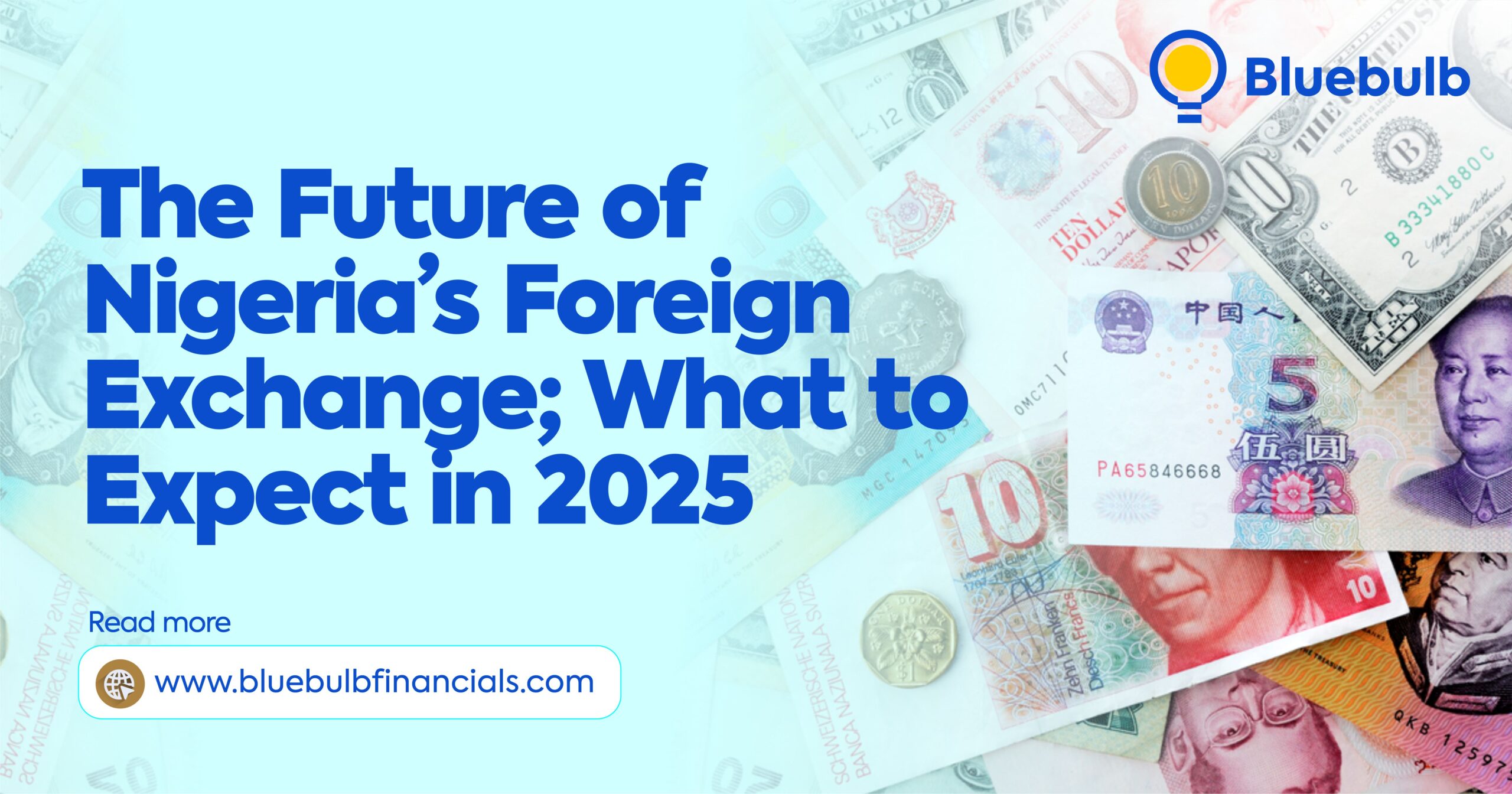 The Future of Nigeria’s Foreign Exchange; What to Expect in 2025