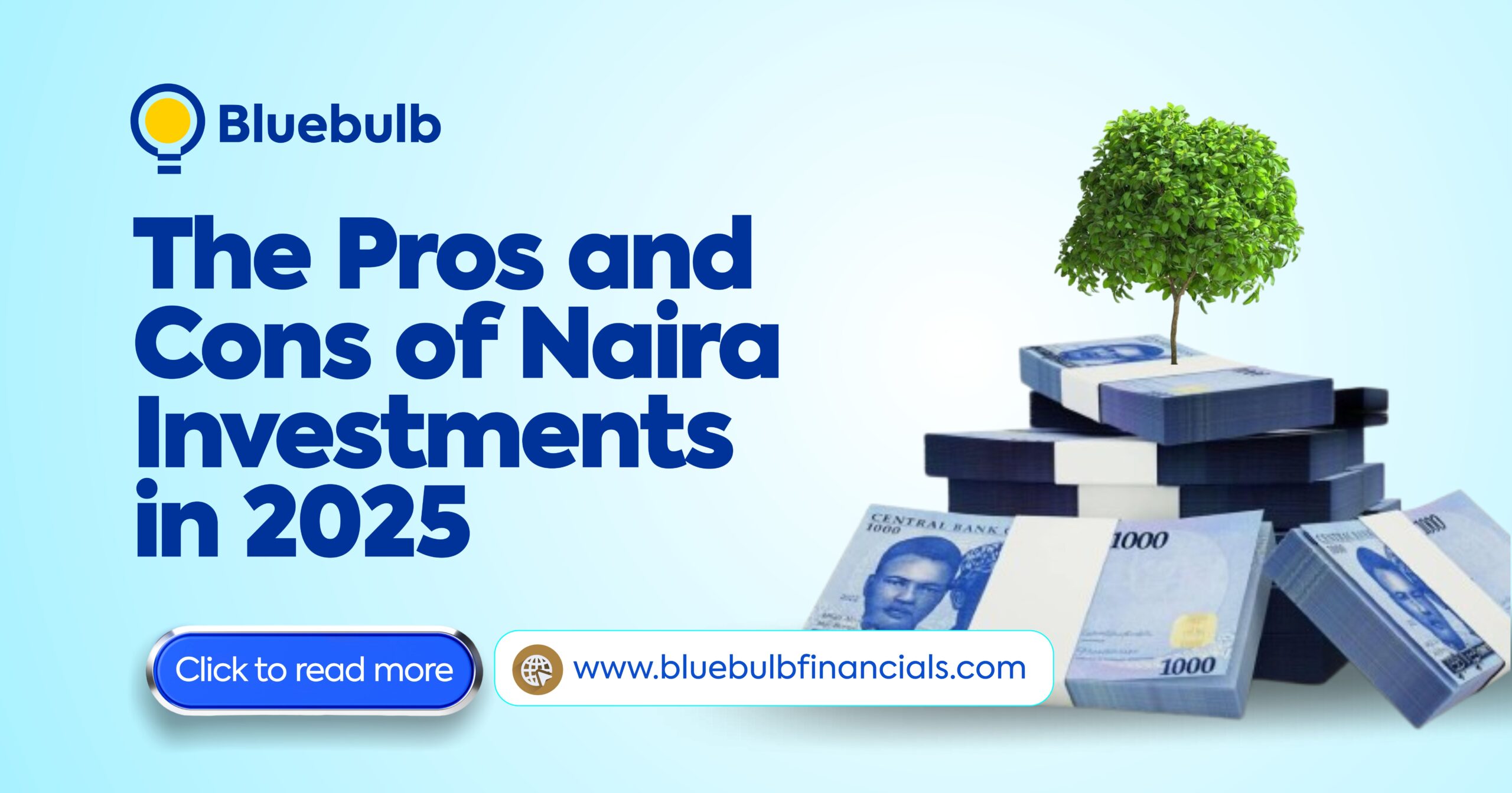 The Pros and Cons of Naira Investments in 2025